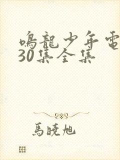 鸣龙少年电视剧30集全集