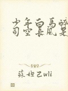 少年白马醉春风司空长风是谁