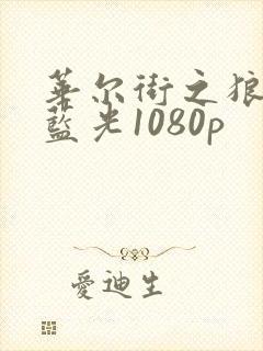 华尔街之狼4k蓝光1080p