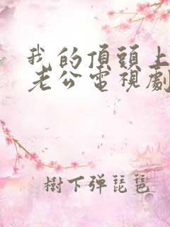 我的顶头上司是老公电视剧