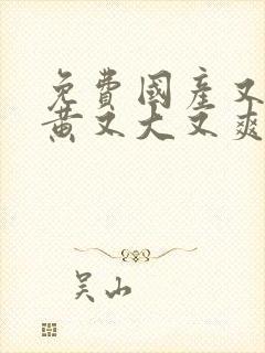 免费国产又猛又黄又大又爽视频网站