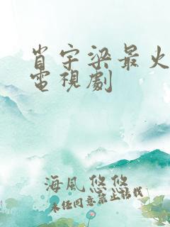 肖宇梁最火十部电视剧