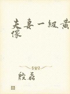 夫妻一级黄色录像