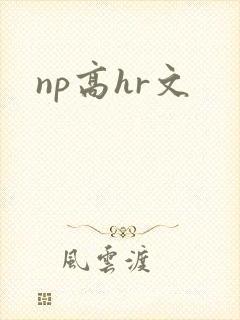 np高hr文