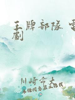 王牌部队 电视剧