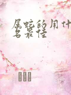 属蛇的用什么网名最佳