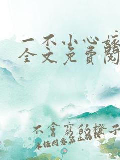 一不小心嫁总裁全文免费阅读