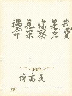 遇见你是我的宿命宋察免费观看