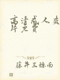 高清成人爽a毛片免费