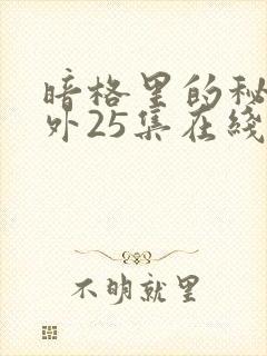 暗格里的秘密番外25集在线观看