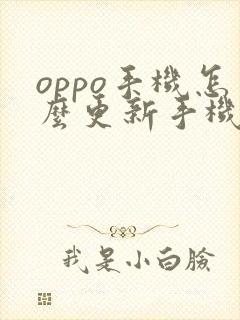 oppo手机怎么更新手机版本