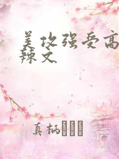 美攻强受高h肉辣文