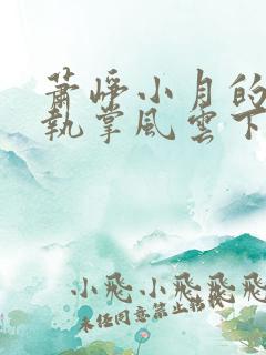 萧峥小月的小说执掌风云下载