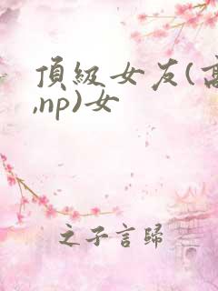 顶级女友(高h,np)女