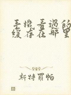 手机看过的视频缓存在哪里能找到