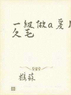 一级做a爰片久久毛