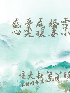 盛爱成婚霍少的心尖暖妻小说