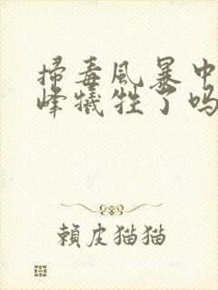 扫毒风暴中林强峰牺牲了吗