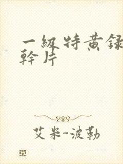 一级特黄录像实干片