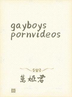 gayboyspornvideos