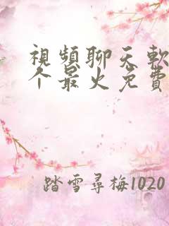 视频聊天软件哪个最火免费不收费