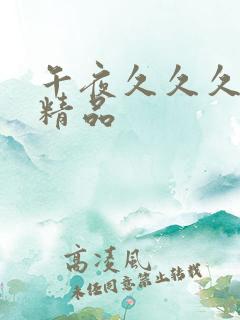 午夜久久久久久精品