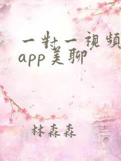 一对一视频聊天app美聊