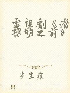 电视剧《潜伏在黎明之前》