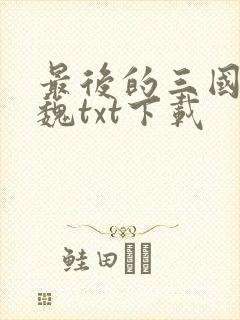 最后的三国2兴魏txt下载