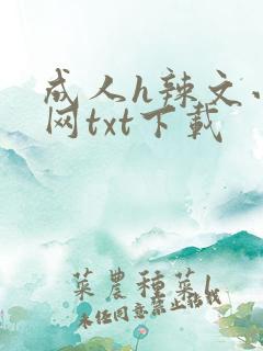 成人h辣文小说网txt下载