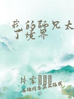 我的师兄太稳健了境界