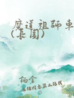 魔道祖师车图片(长图)