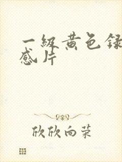 一级黄色录像性感片