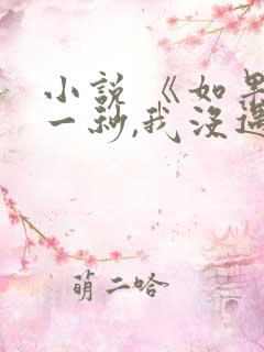 小说 《如果这一秒,我没遇见你》