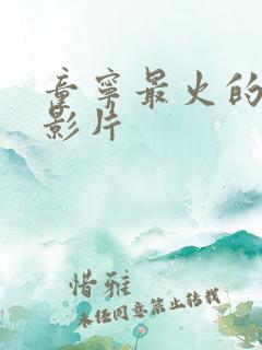 童宁最火的三部影片