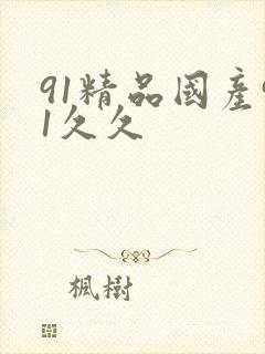 91精品国产91久久