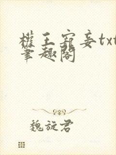 权王宠妾txt笔趣阁