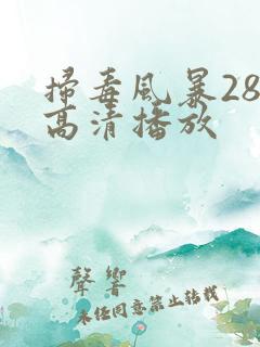 扫毒风暴28集高清播放