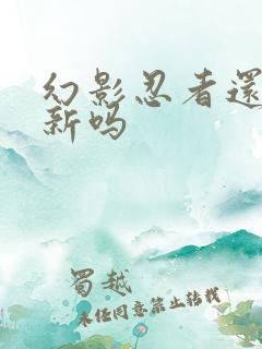 幻影忍者还在更新吗