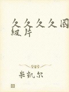 久久久久国产一级片