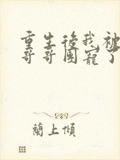 重生后我被四个哥哥团宠了全文免费下载