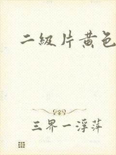 二级片黄色录像