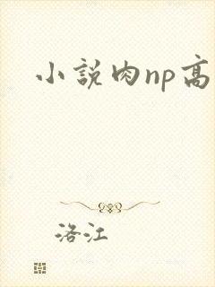小说肉np高h