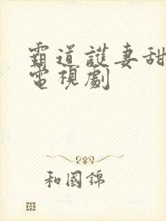 霸道护妻甜宠的电视剧