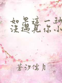 如果这一秒,我没遇见你小说看