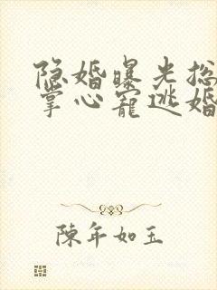 隐婚曝光总裁的掌心宠逃婚了贺聿舟大结局