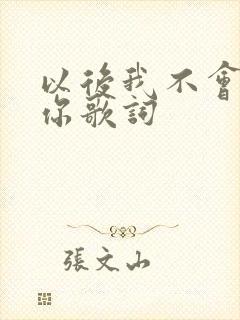 以后我不会再爱你歌词