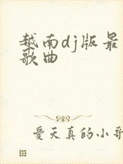 越南dj版最火歌曲