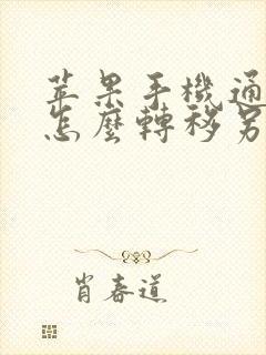 苹果手机通讯录怎么转移另一部手机