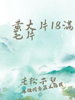 黄大片18满岁毛片